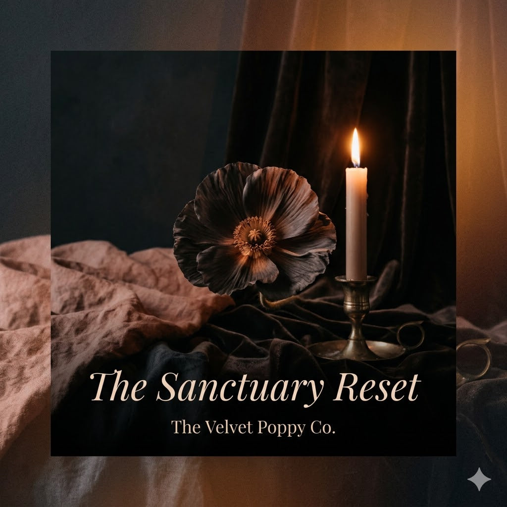 The Sanctuary Reset — A Boho-Noir Guide to Creating Your Perfect Space